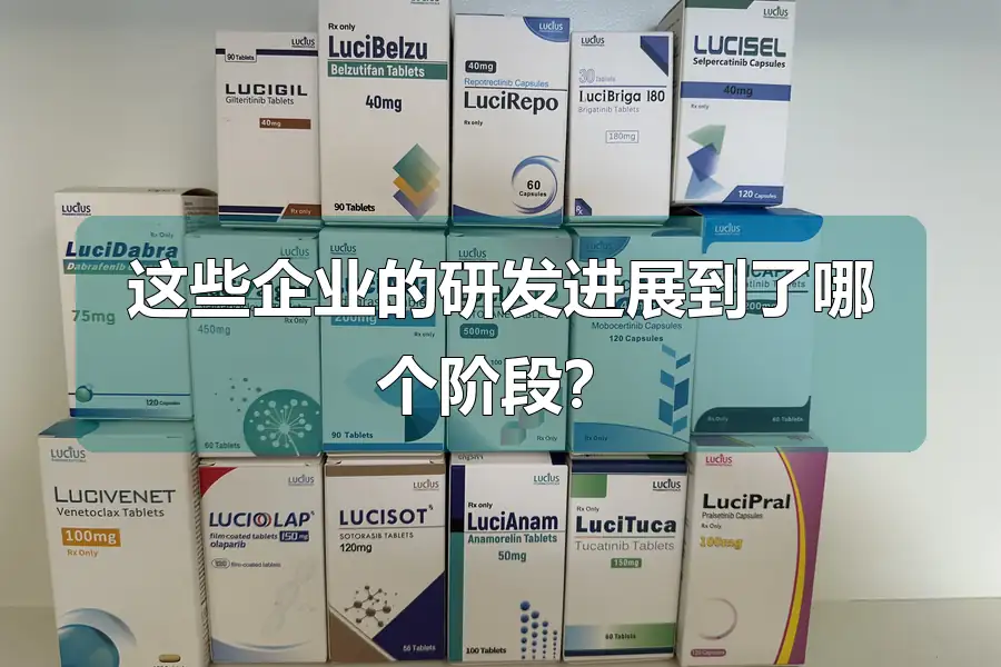 这些企业的研发进展到了哪个阶段？